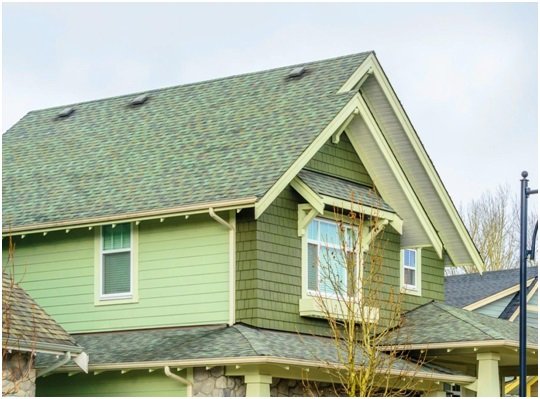 Roof Replacement Project